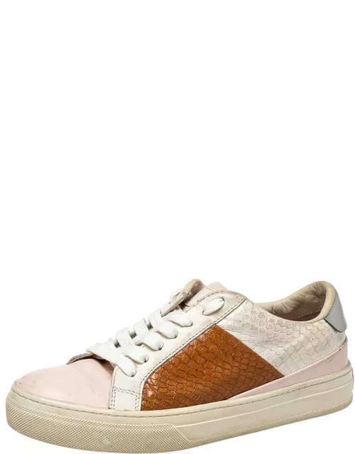 Tod's Multicolor Python And Leather Lace Up Sneaker