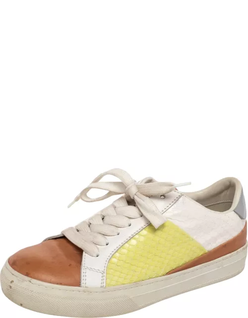Tod's Multicolor Python And Leather Lace Up Sneaker