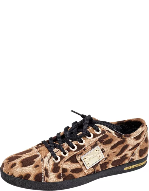 Dolce & Gabbana Brown Leopard Print Knit Fabric Low Top Sneaker