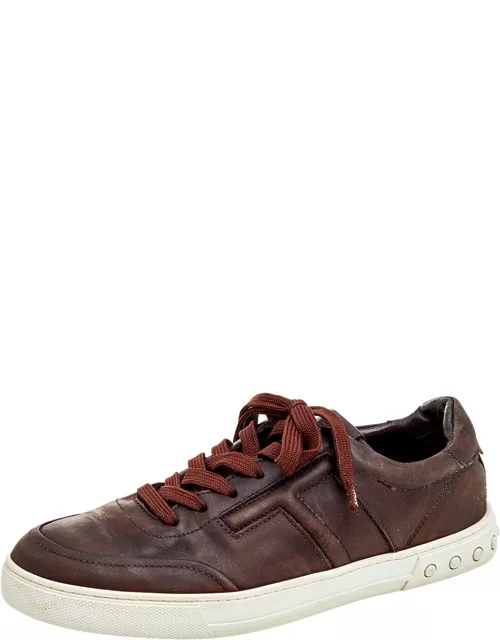 Tod's Dark Brown Leather Low Top Sneaker