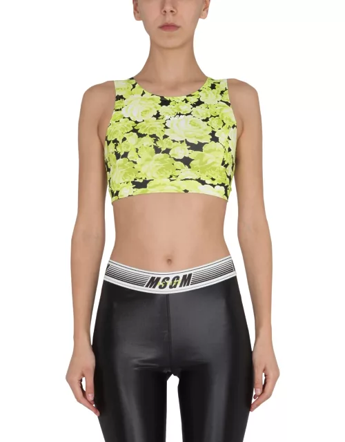 msgm floral print cropped top