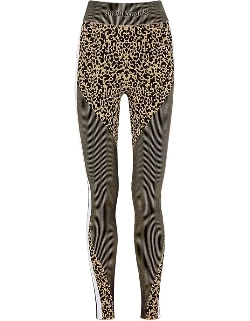 Palm Angels Leopard-jacquard Panelled Stretch-jersey Leggings - Beige