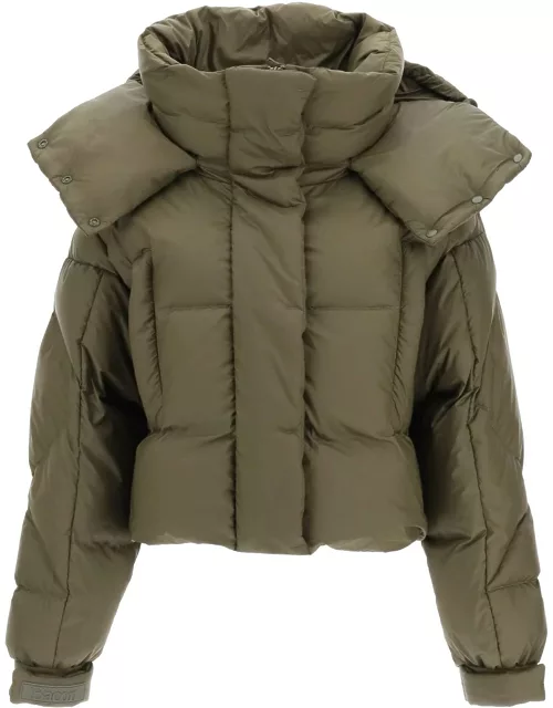 Bacon puffa Ring Wlt Cropped Puffer Jacket With Snap-off Hood