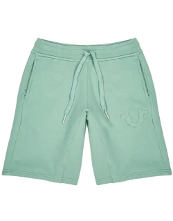 True Religion Light Green Cotton Shorts