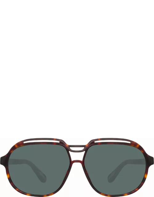Raphael Aviator Sunglasses in Tortoiseshel