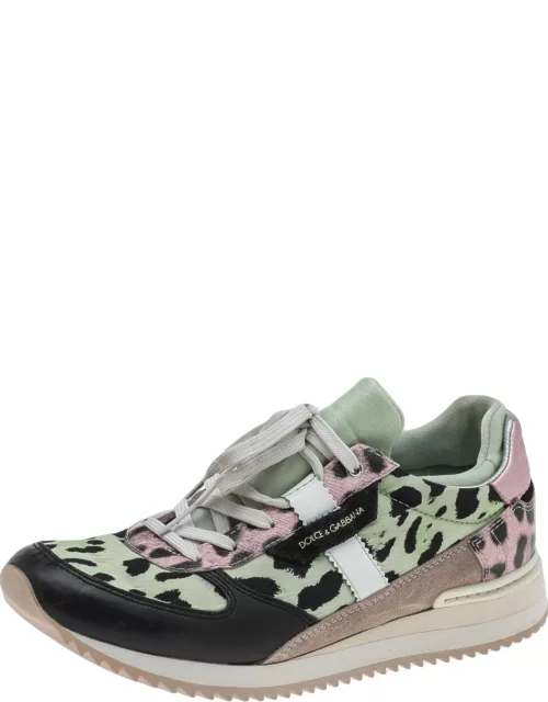 Dolce & Gabbana Multicolor Leopard Print Canvas And Leather Low Top Sneaker