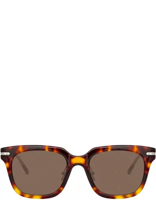 Empire D-Frame Sunglasses in Tortoiseshel