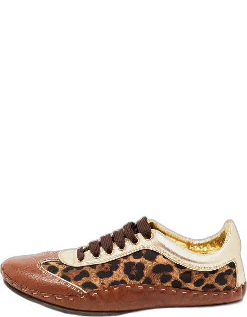 Dolce & Gabbana Brown Leather and Canvas Leopard Print Low Top Sneaker