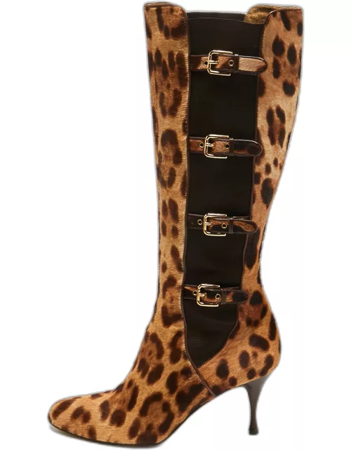 Dolce & Gabbana Brown/Brown Leopard Print Calf Hair Knee Length Boot