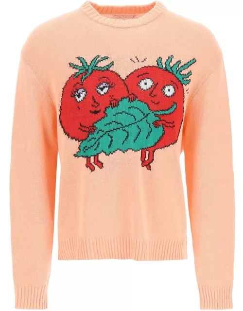 Sky High Farm happy Tomatoes Cotton Sweater