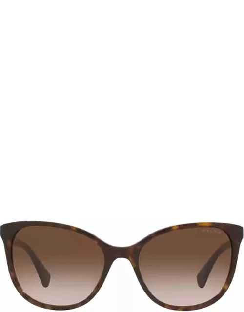 Polo Ralph Lauren Ra5282u Havana Brown Sunglasse