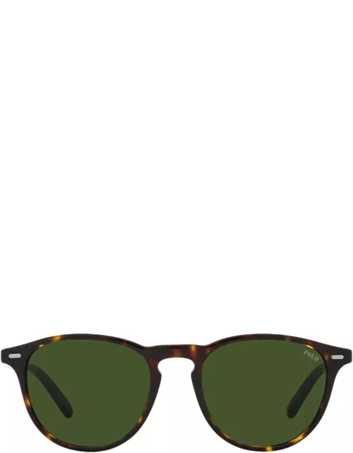 Polo Ralph Lauren Ph4181 Shiny Dark Havana Sunglasse