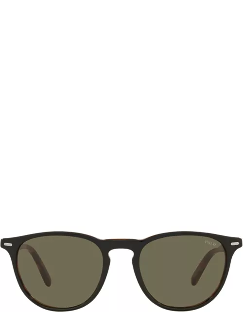 Polo Ralph Lauren Ph4181 Shiny Black Havana Sunglasse