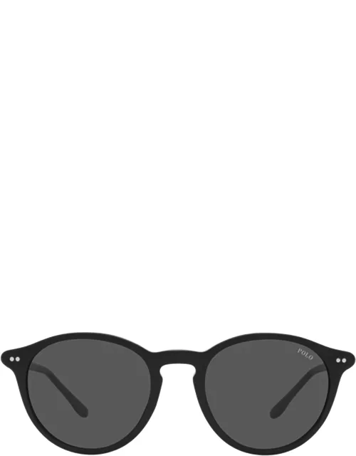 Polo Ralph Lauren Ph4193 Shiny Black Sunglasse