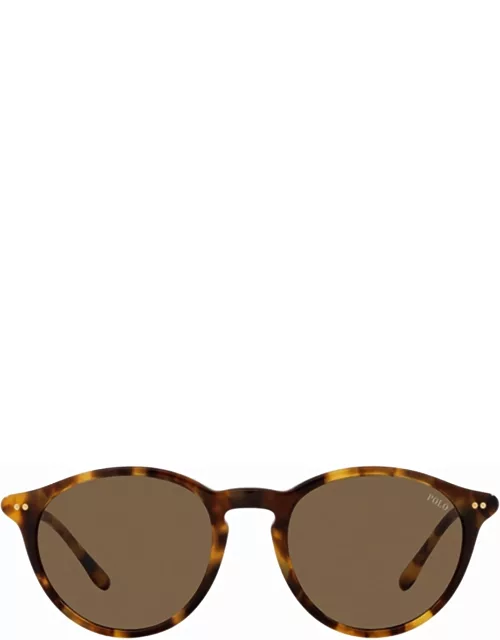 Polo Ralph Lauren Ph4193 Shiny Spotty Havana Sunglasse