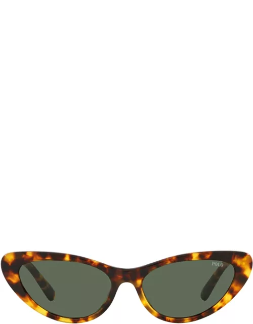 Polo Ralph Lauren Ph4199u Shiny Havana Sunglasse