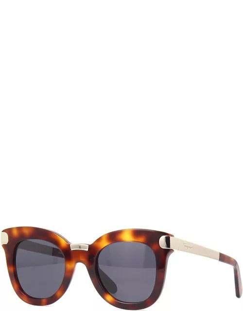 Salvatore Ferragamo Eyewear Sf967s Sunglasse