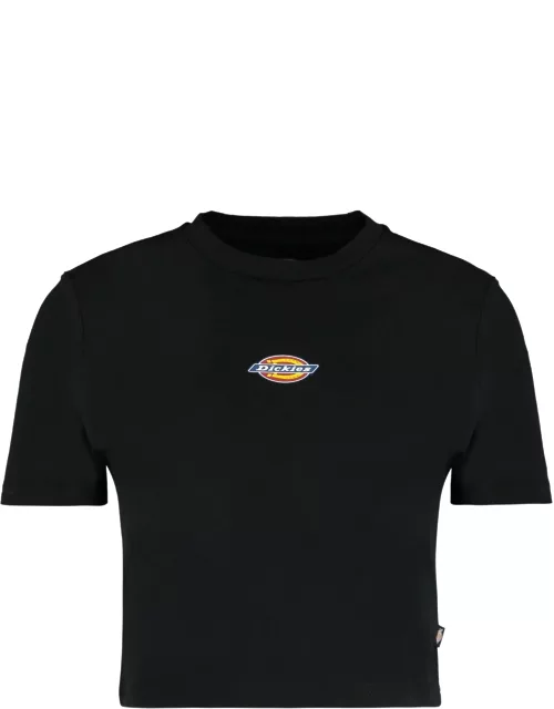 Dickies Maple Valley Logo Detail Cropped T-shirt