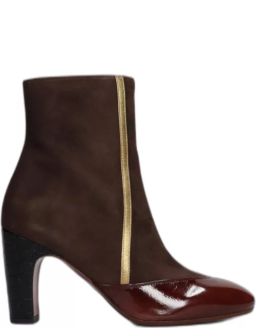 Chie Mihara Ewan High Heels Ankle Boots In Dark Brown Suede And Leather