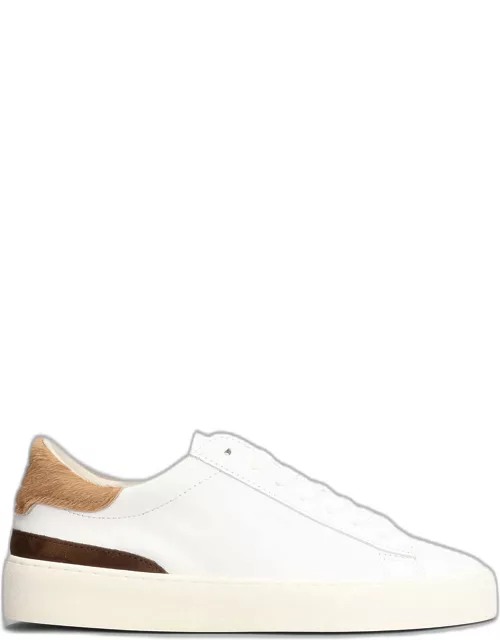 D.A.T.E. Sonica Sneakers In White Suede And Leather