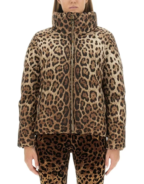 dolce & gabbana leopard print padded jacket
