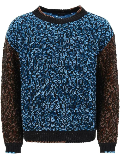 ANDERSSON BELL Multicolored Net cotton blend sweater