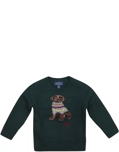Ralph Lauren Ls Cn Dog-sweater-pullover