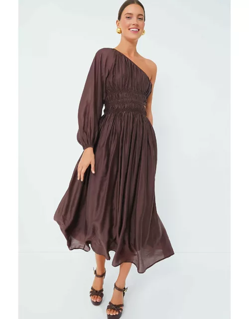 Chocolate One Shoulder Maxi Dres