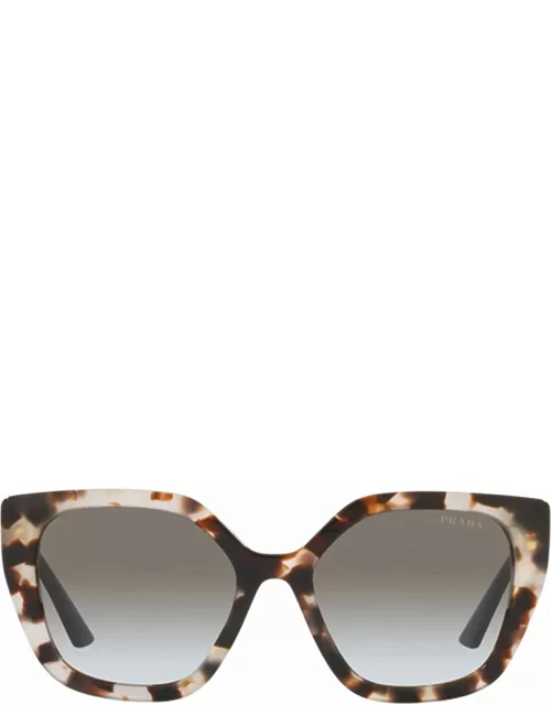 Prada Eyewear Pr 24xs Talc Tortoise Sunglasse
