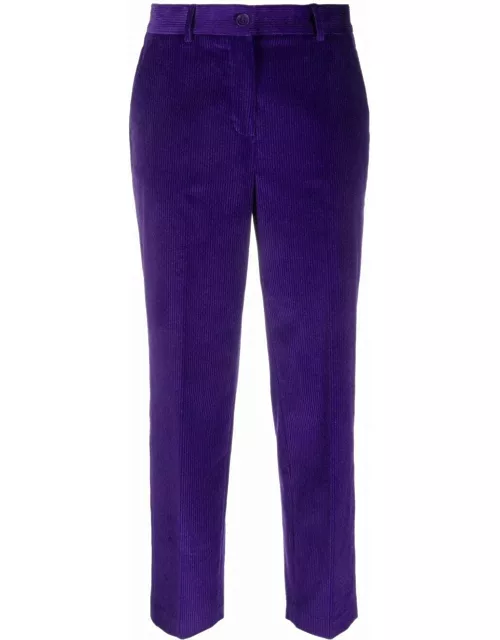 Purple ribbed tapered pant