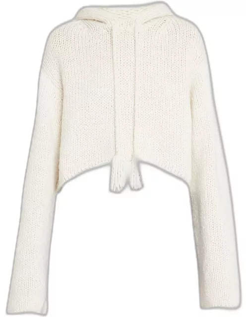 Luciana Cropped Wool and Cashmere Crochet Hoodie