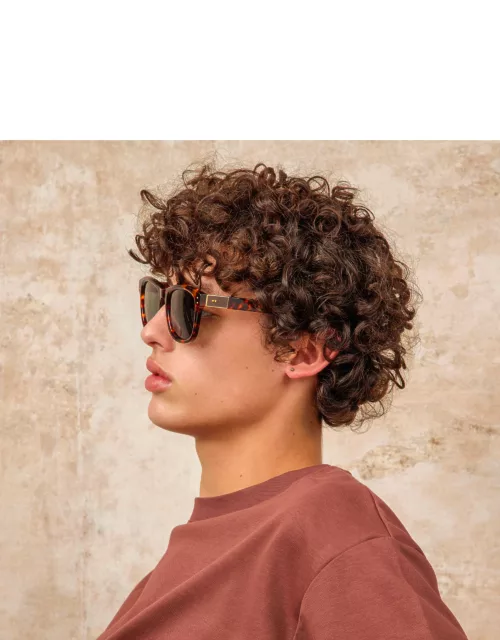 Men's Edson D-Frame Sunglasses in Tortoiseshel