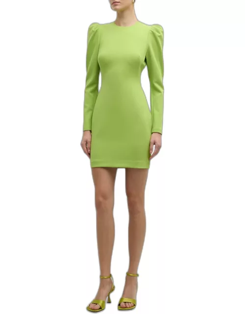 Hadley Ruffle-Sleeve A-Line Mini Dres