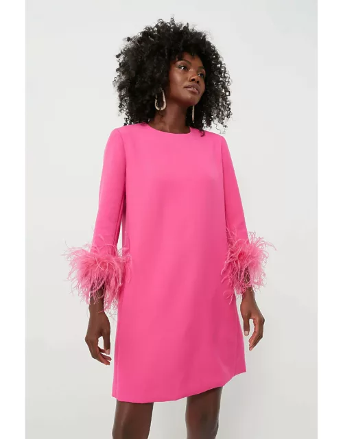 Hot Pink Feather Mod Mary Dres