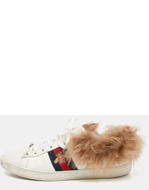 Gucci White Leather and Fur Embroidered Bee Ace Sneaker