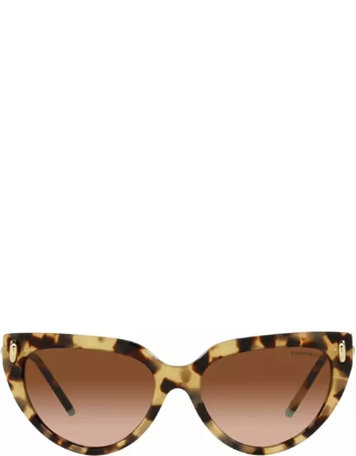 Tiffany & Co. Tf4195 Yellow Havana Sunglasse