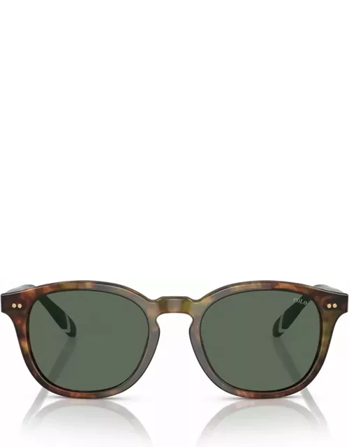 Polo Ralph Lauren Ph4206 Shiny Brown Tortoise Sunglasse