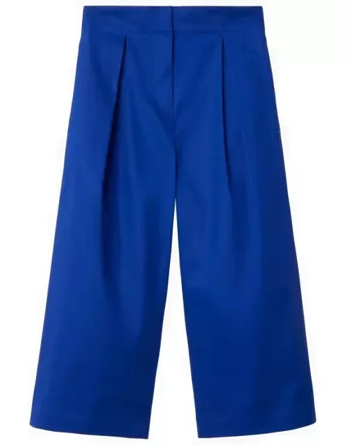 Electric blue cotton pant