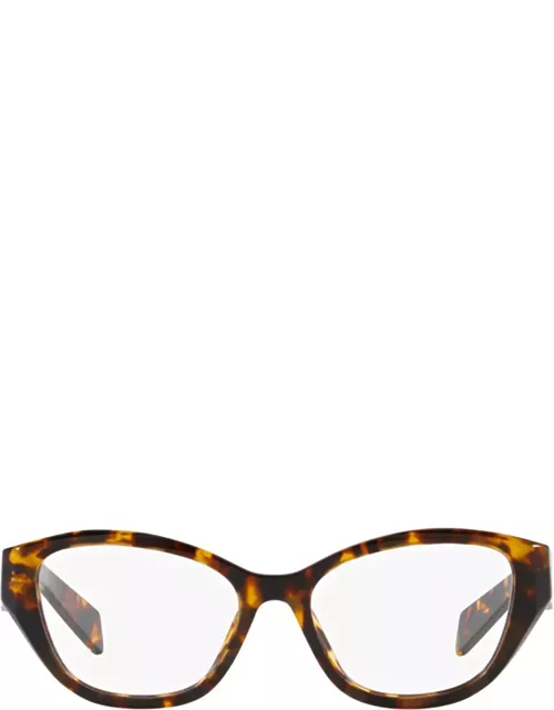 Prada Eyewear Pr 21zv Honey Tortoise Glasse