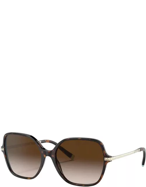 Sunglasses 4191 SOLE