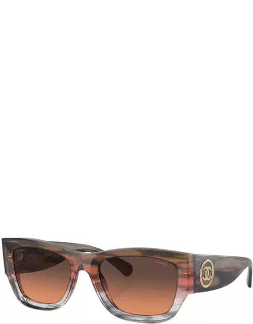 Sunglasses 5507 SOLE