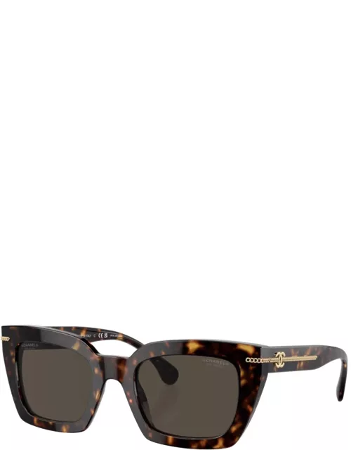 Sunglasses 5509 SOLE