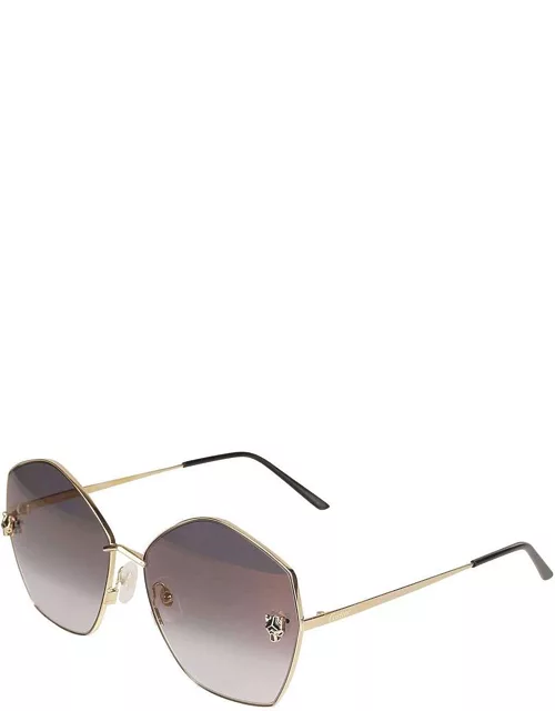 Sunglasses CT0356