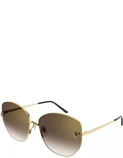 Sunglasses CT0400