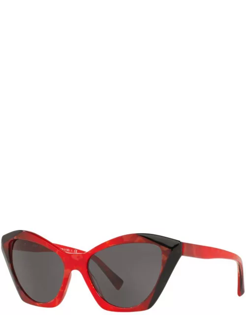 Sunglasses 5056 SOLE