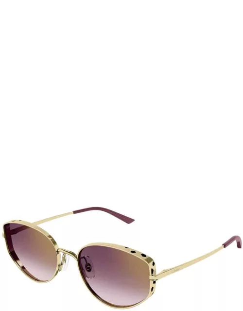 Sunglasses CT0300