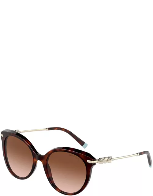 Sunglasses 4189B SOLE