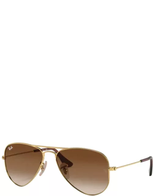 Sunglasses 9506S SOLE