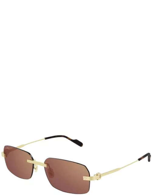 Sunglasses CT0271