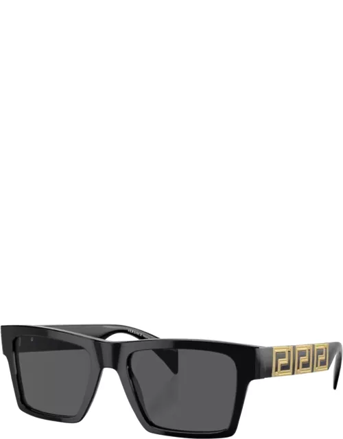 Sunglasses 4445 SOLE